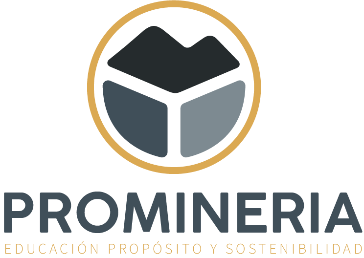 Pro mineria